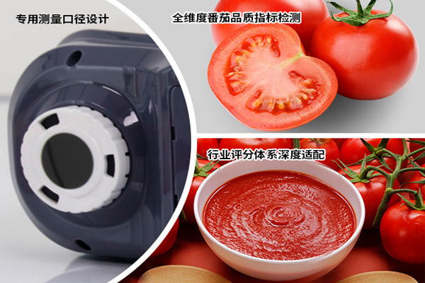YS4582番茄酱大口径测色仪